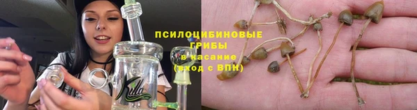 хмурый Медногорск