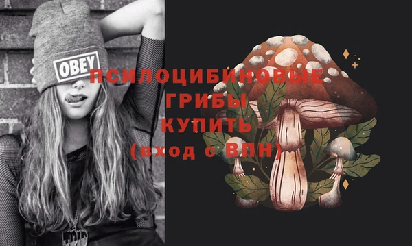 хмурый Медногорск
