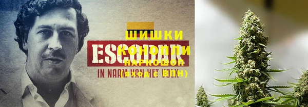 jwh Майский